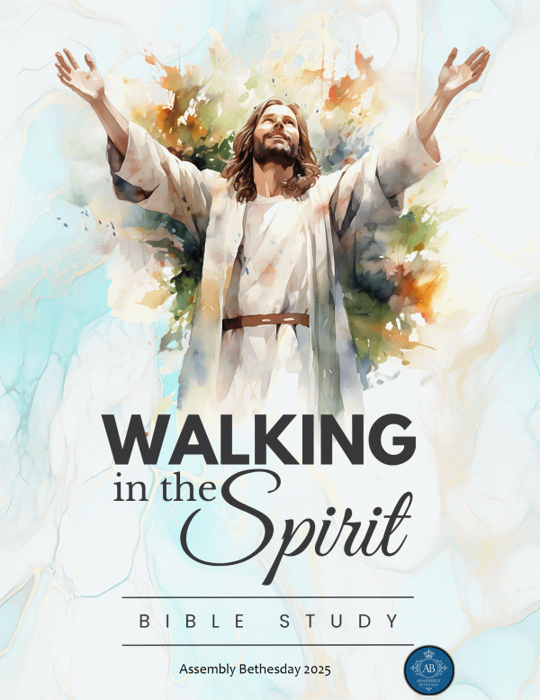 cover of the bible study